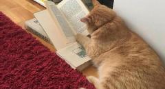 커뮤니티 대표이미지